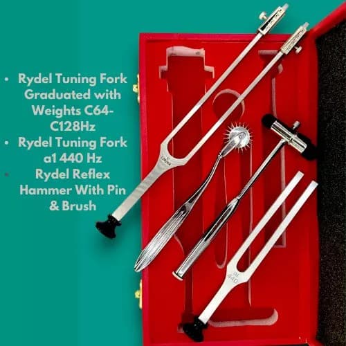 Rydel Seiffer tuning fork with vibration scale