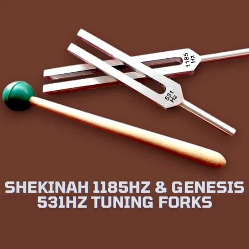 Shekinah & Genesis Tuning Forks set